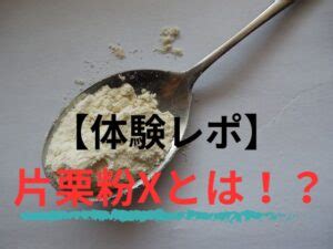 片栗粉エックス作り方|【体験レポ】片栗粉Xとは？作り方や失敗談をメリッ。